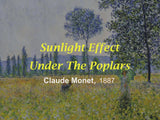 Sunlight Effect Under The Poplars, by Claude Monet in 1887, background and story of the painting, high-end Monet painting handbag.